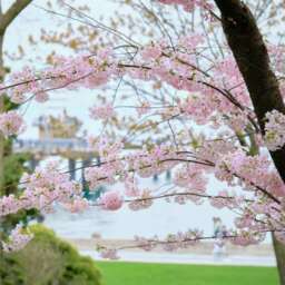 0d9ec04885eae4776cf6210089cccac9.jpg