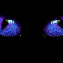7dfe4fd2aab6a9f59296522bc911d793.jpg